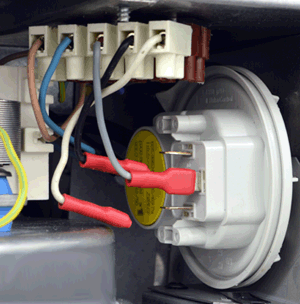 bx solo 3 aps in situ c and nc wires removed.gif